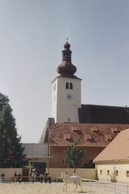 Teilnehmer